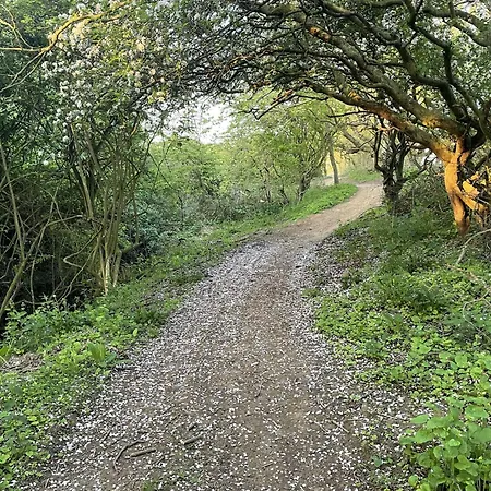 Vakantiehuis Merchants Quarters - Othala - Stunning With Harbour And Sea Views, Roof Terrace And Location To Amenities *