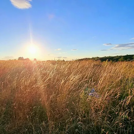 Merchants Quarters - Othala - Stunning With Harbour And Sea Views, Roof Terrace And Location To Amenities * Scarborough