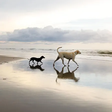 Merchants Quarters - Othala - Stunning With Harbour And Sea Views, Roof Terrace And Location To Amenities *